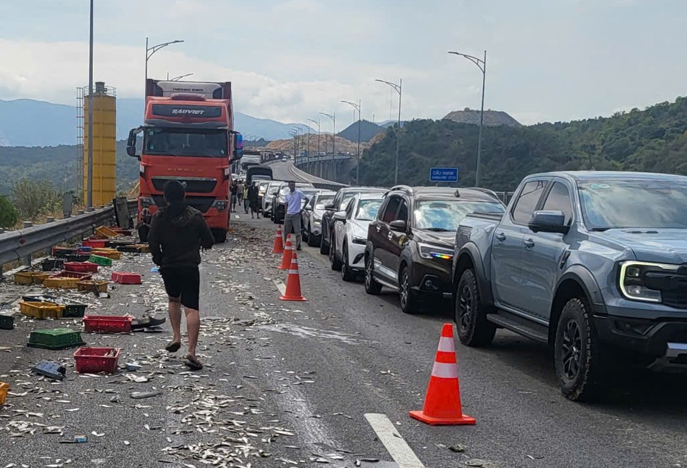 2  4584854068722750434-2172-4067.jpg