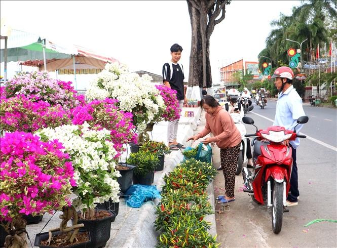 民众在永隆省隆洲坊春花市选购花卉。图：黎翠姮