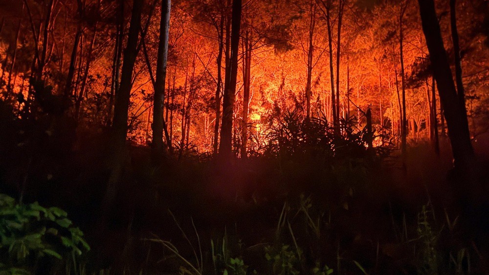 林同省成功控制一起深夜发生的森林火灾。