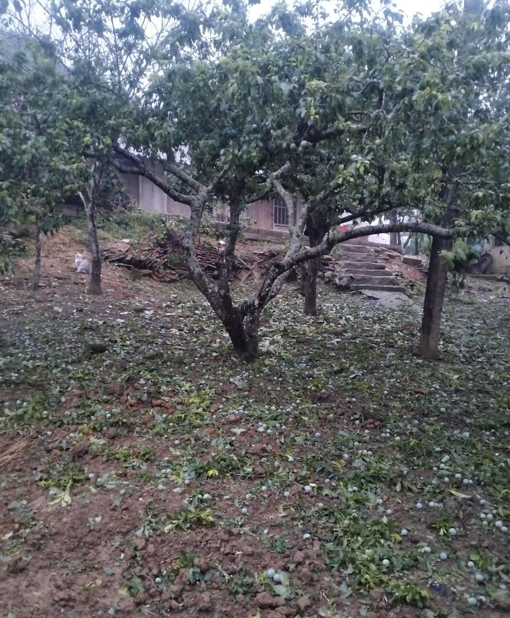  老街省与广义省遭遇冰雹袭击