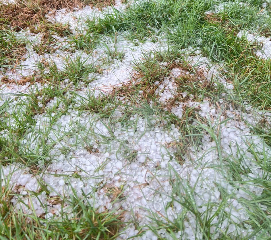 3  1987222824382513439-5736-6449.jpg