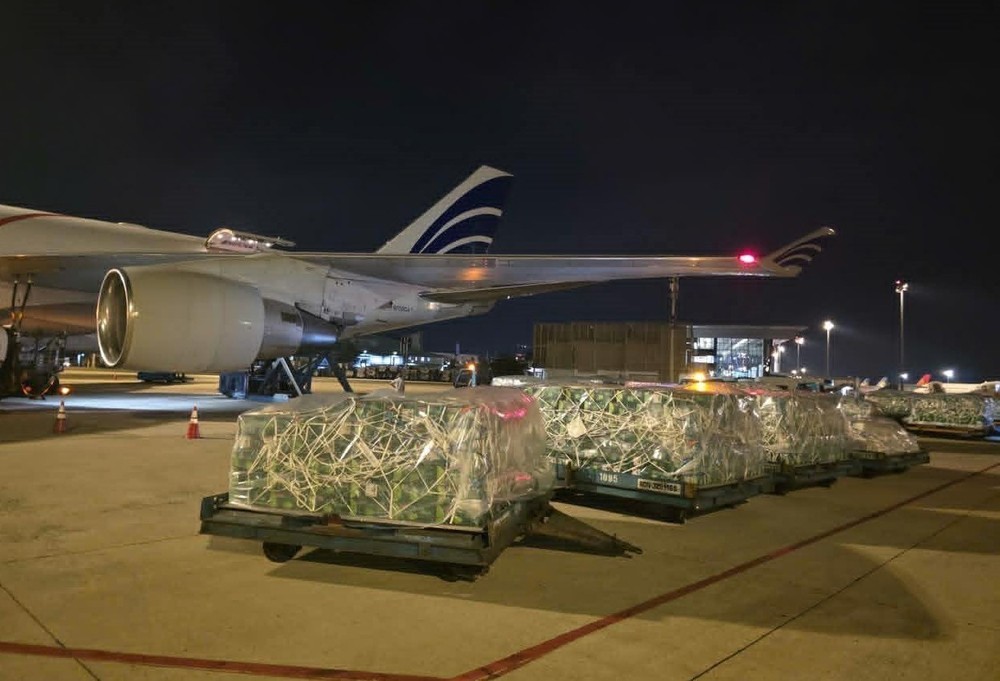 近100吨越南果蔬通过空运进军阿联酋市场。图：越通社