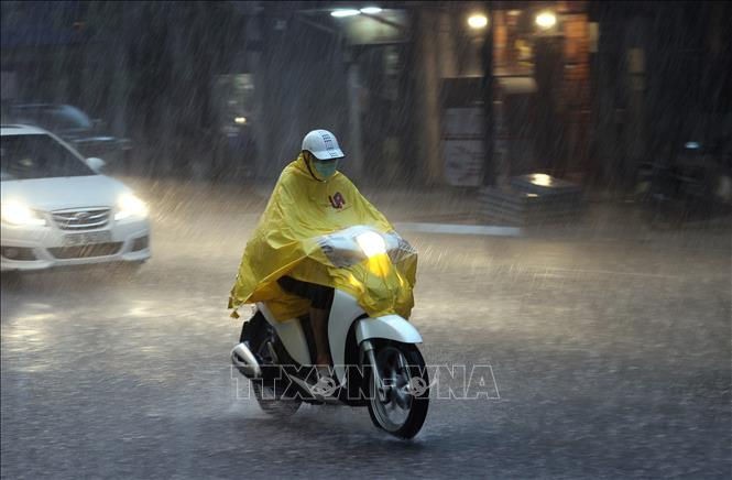 气象机关预报北部地区未来几天将持续雷雨。