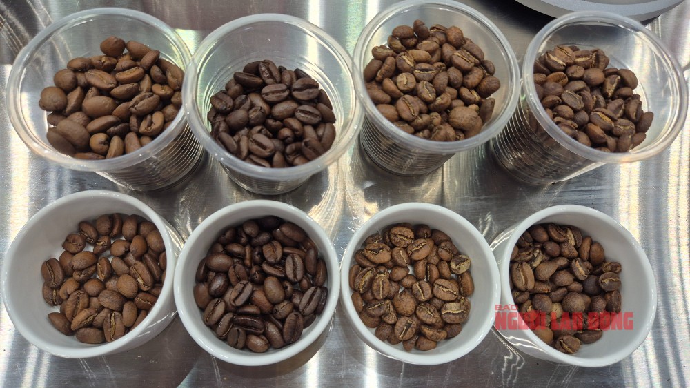 4月29日咖啡价格：意外上涨，中国咖啡巨头搅动市场