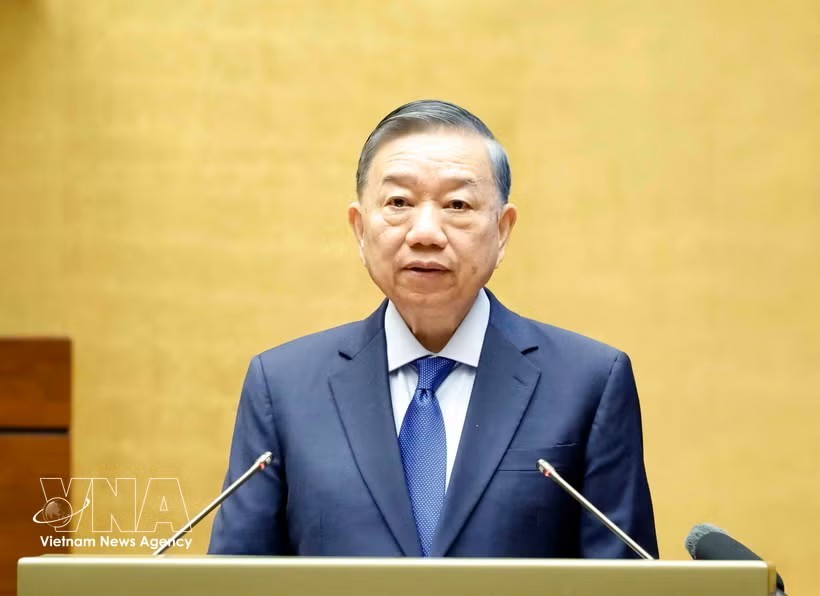 党中央总书记、国家主席苏林发表讲话。图：越通社