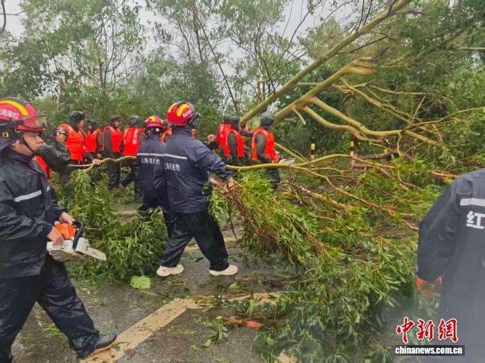 汕尾红海湾经济开发区应急管理局应急救援队伍开展倒伏树木和杂物清障作业。红海湾经济开发区应急管理局 供图