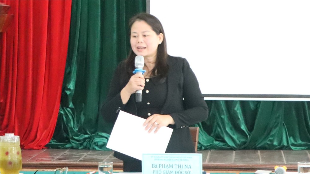 胡志明市农业与环境厅副厅长范氏娜在会上作汇报。图：成辉