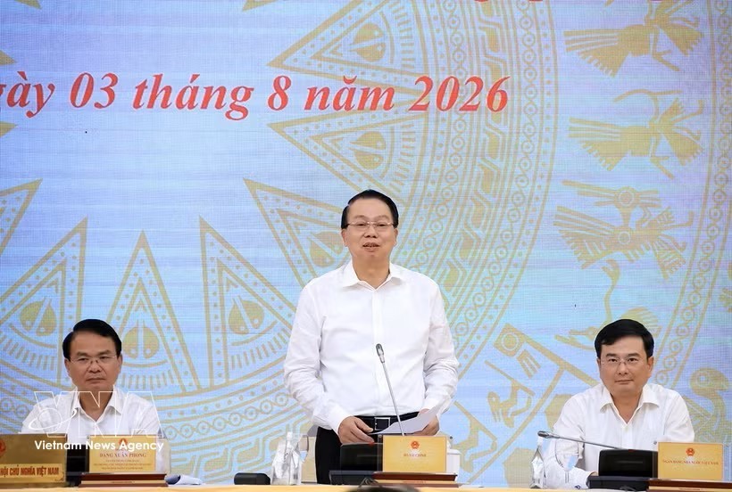 越南财政部副部长阮德芝回答记者提问。图：越通社