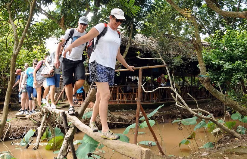 外国游客在越南西部水乡体验“猴桥”，感受独具特色的乡村旅游。图：越通社
