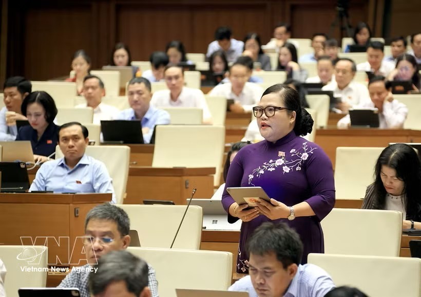 国会代表发表意见。越通社