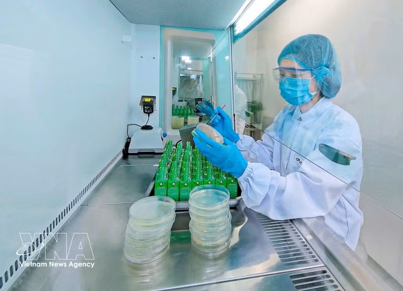 雀巢位于兴安省的莲花工厂将数字技术应用于绿色生产。图：越通社