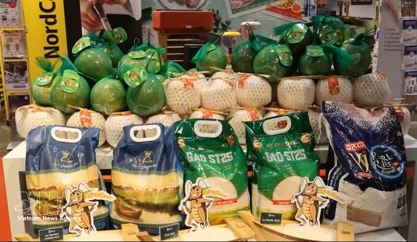 ST25大米是Selgros越南商品周上的核心商品。图：越通社