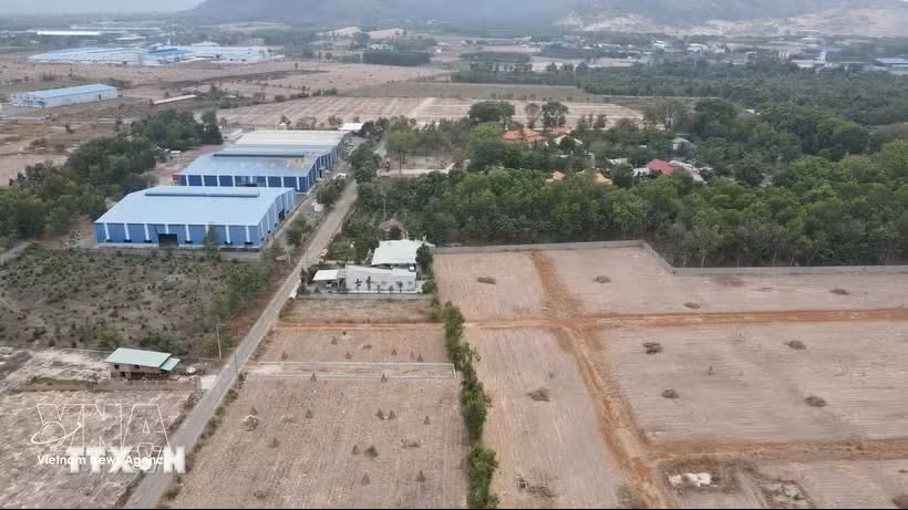 附图。图：越通社