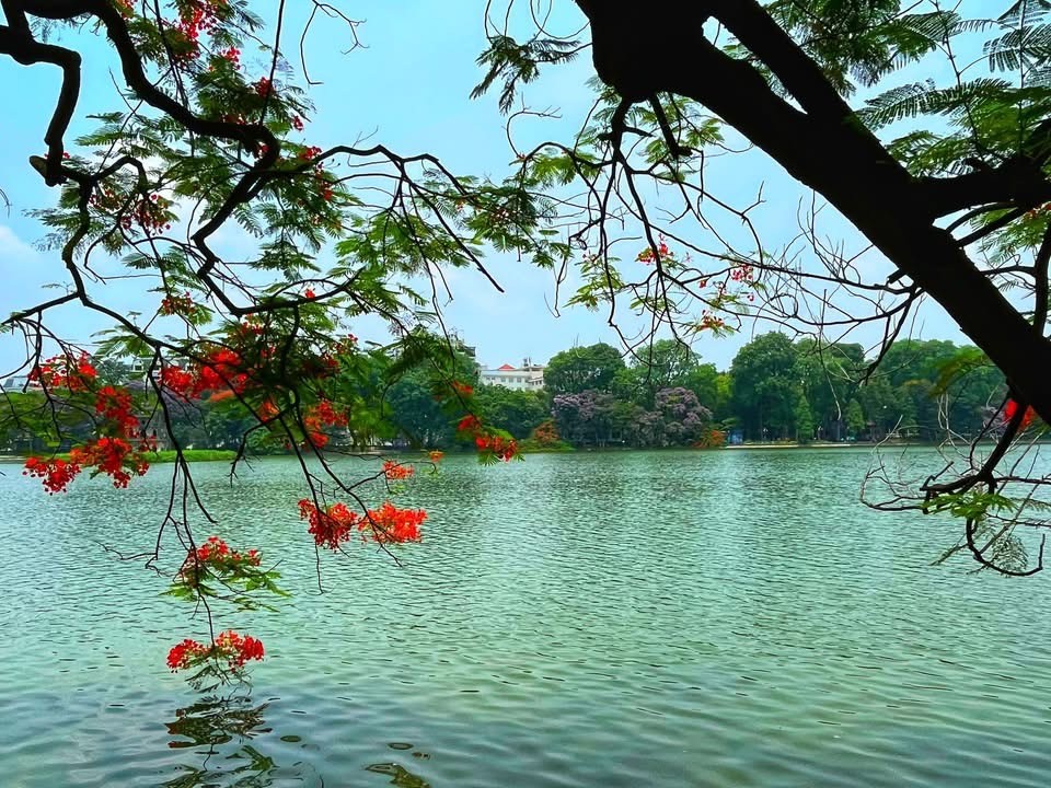 河内还剑湖秋日景色。图：玉燕。
