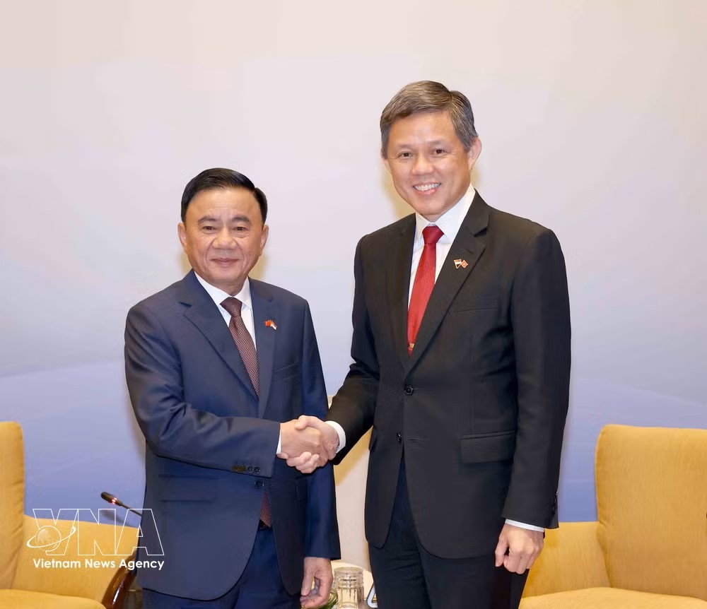 potal-le-don-uy-vien-bo-chinh-tri-thuong-truc-ban-bi-thu-tran-cam-tu-tham-chinh-thuc-singapore-8979392.jpg