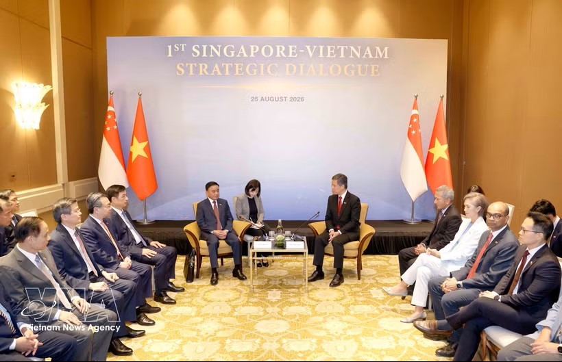 越南共产党中央书记处常务书记陈锦秀访新正式欢迎仪式隆重举行。图：越通社