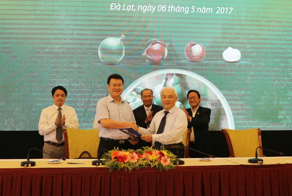 Hỗ trợ nông dân phát triển cây mắc ca ảnh 2