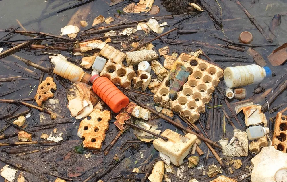 Hồ cấp nước sạch cho Đà Lạt tràn ngập rác thải nông nghiệp ảnh 4