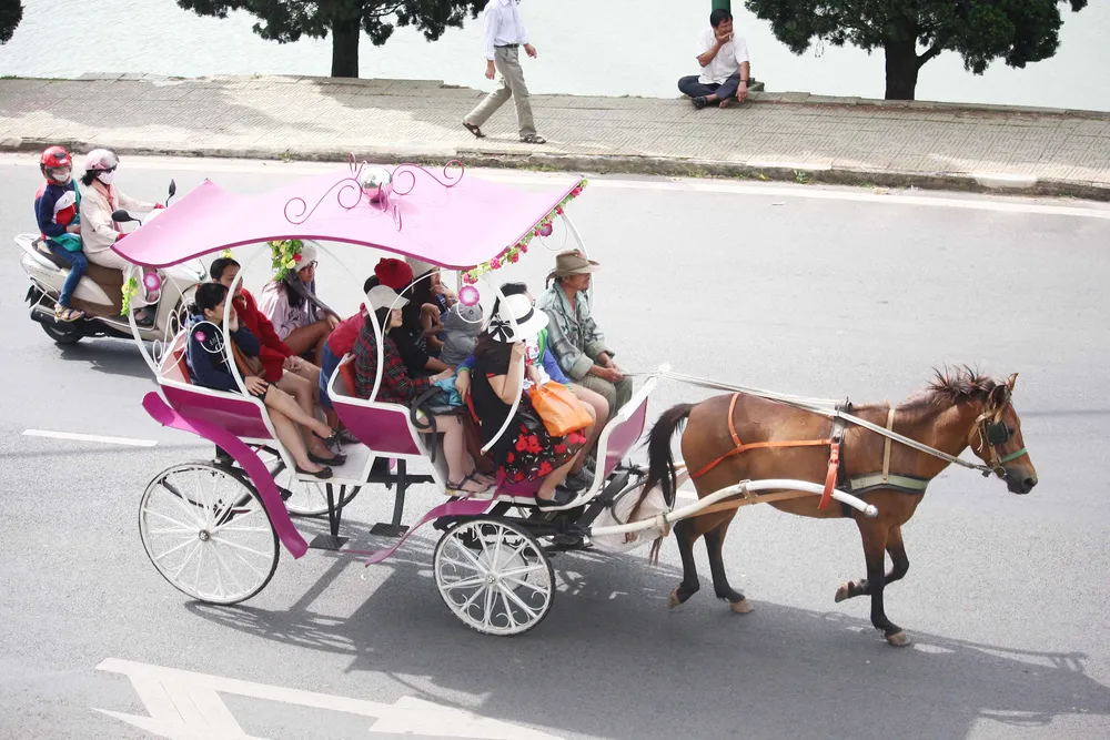 Du khách chen chân lên Đà Lạt nghỉ mát ảnh 7