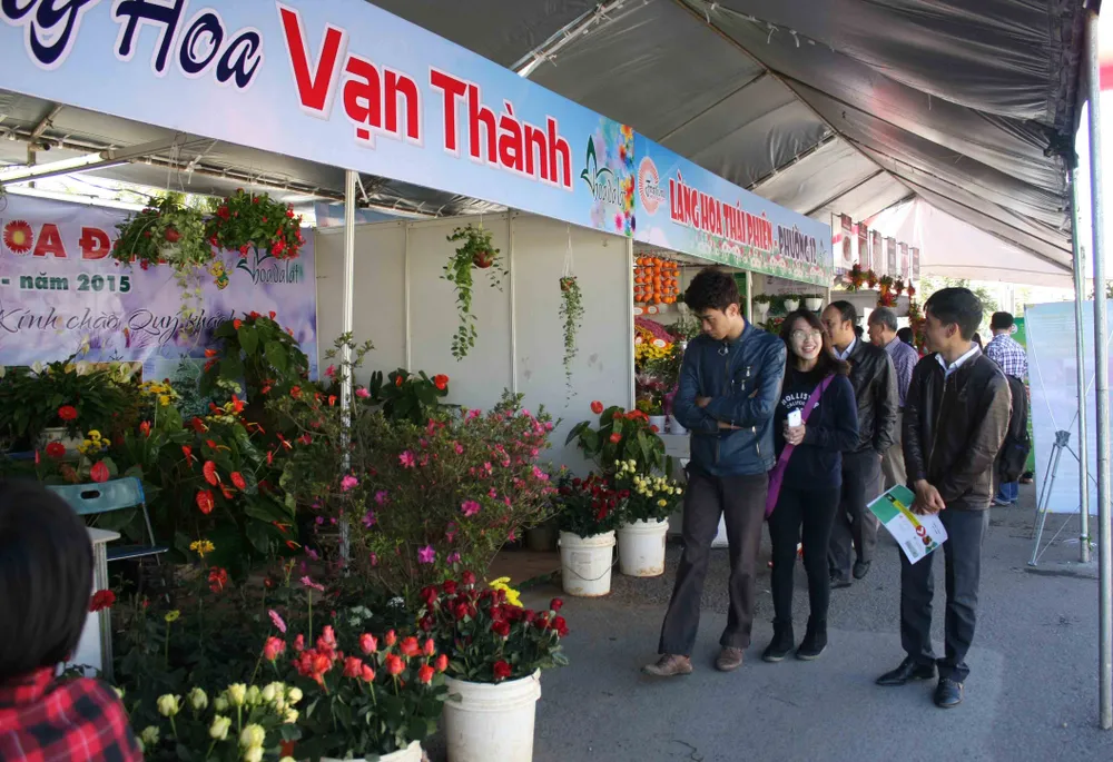 Công bố thời điểm tổ chức Festival hoa Đà Lạt lần thứ VII-2017  ảnh 2