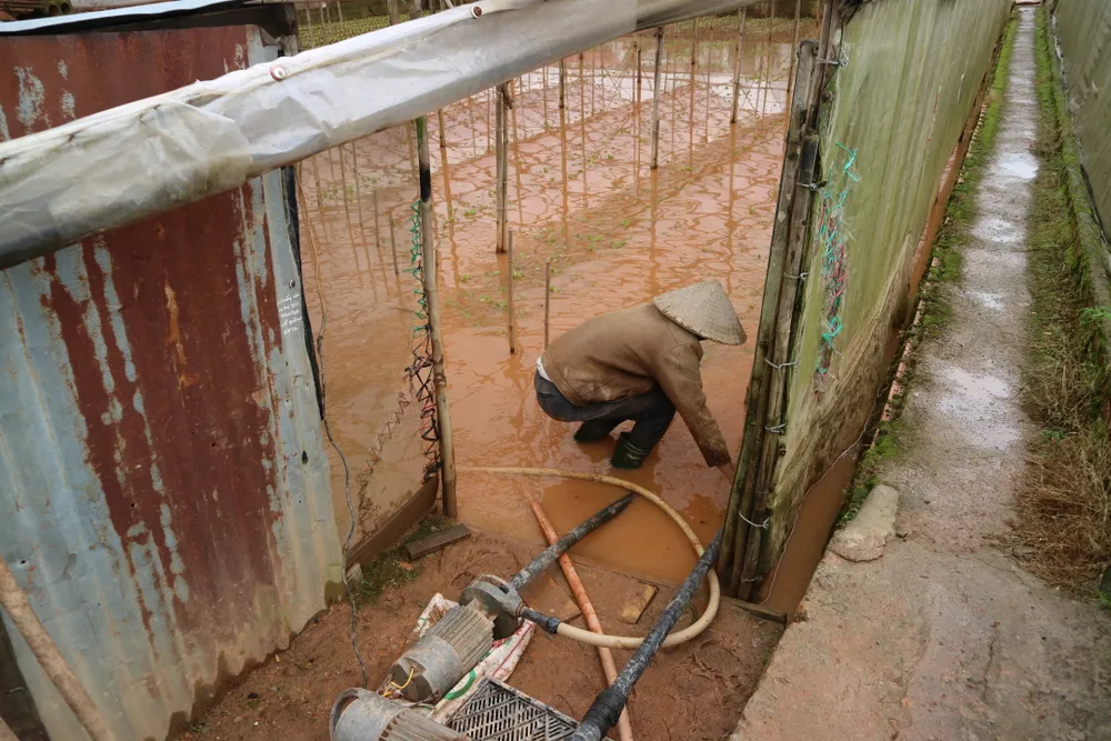 Xem cảnh ngập sâu cả mét nước sau trận mưa lớn ở Đà Lạt ảnh 7