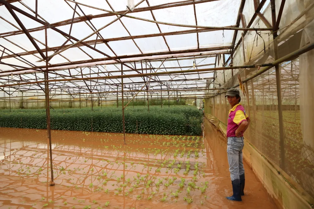 Xem cảnh ngập sâu cả mét nước sau trận mưa lớn ở Đà Lạt ảnh 8