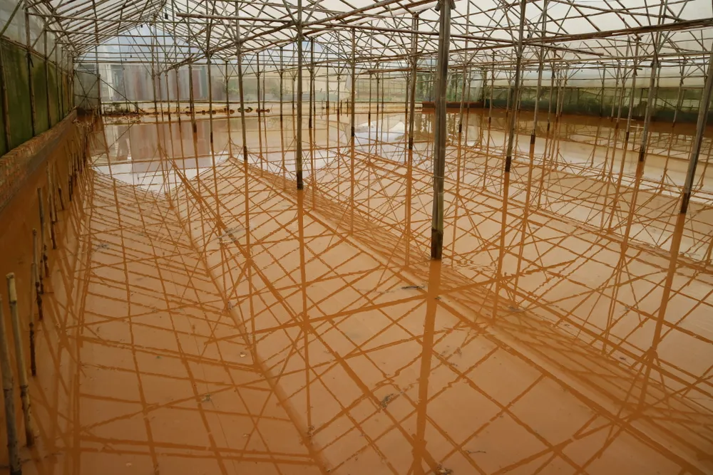 Xem cảnh ngập sâu cả mét nước sau trận mưa lớn ở Đà Lạt ảnh 4