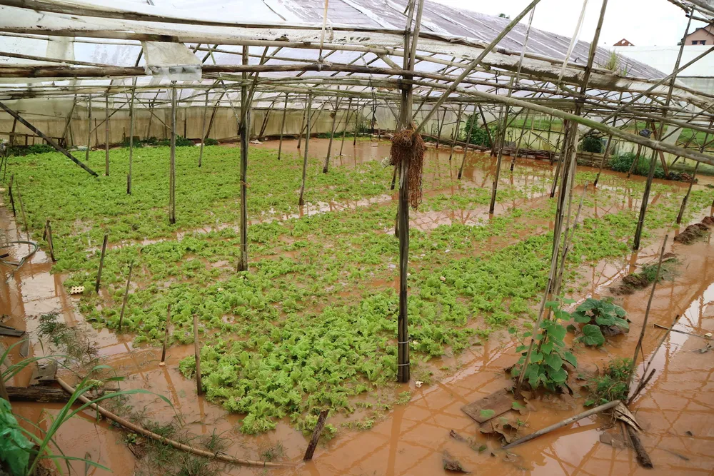 Xem cảnh ngập sâu cả mét nước sau trận mưa lớn ở Đà Lạt ảnh 2