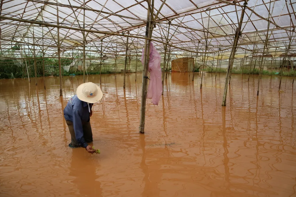 Xem cảnh ngập sâu cả mét nước sau trận mưa lớn ở Đà Lạt ảnh 5