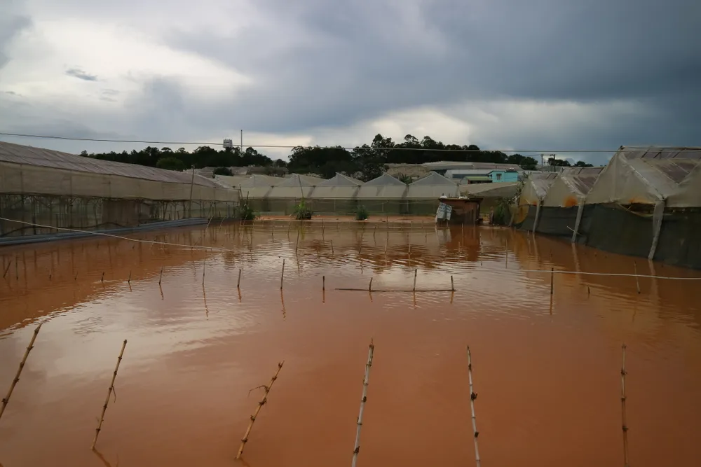 Xem cảnh ngập sâu cả mét nước sau trận mưa lớn ở Đà Lạt ảnh 6