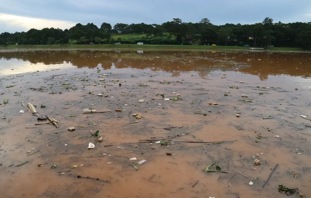 Hồ Xuân Hương tràn ngập rác thải sau mưa ảnh 5