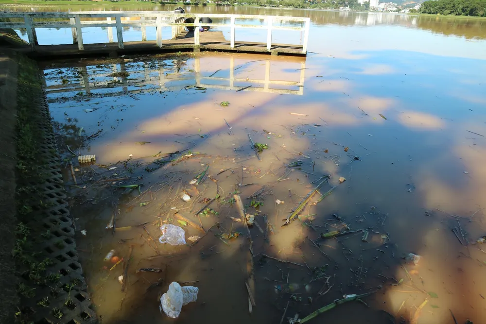 Hồ Xuân Hương tràn ngập rác thải sau mưa ảnh 8