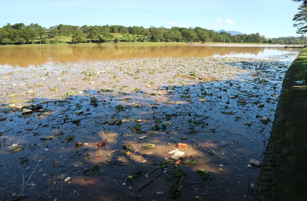 Hồ Xuân Hương tràn ngập rác thải sau mưa ảnh 2