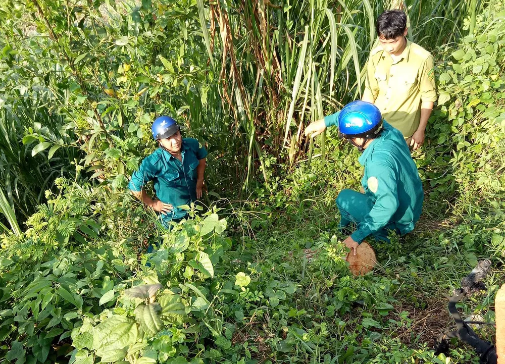 Lâm tặc đốt xe phi tang khi gặp kiểm lâm ảnh 1