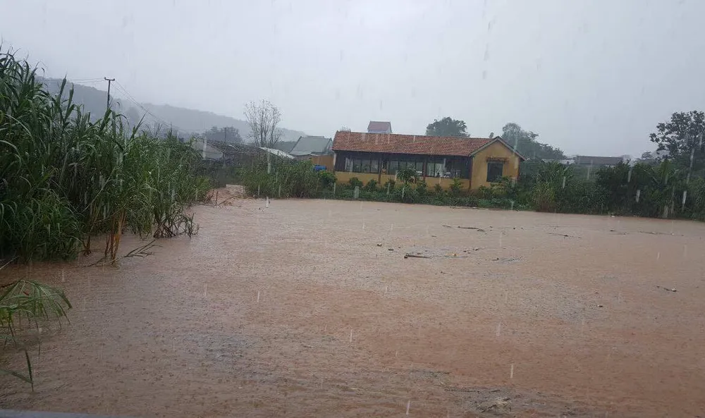 VIDEO: Nước lũ tràn về cô lập khu du lịch Thác Voi ảnh 5
