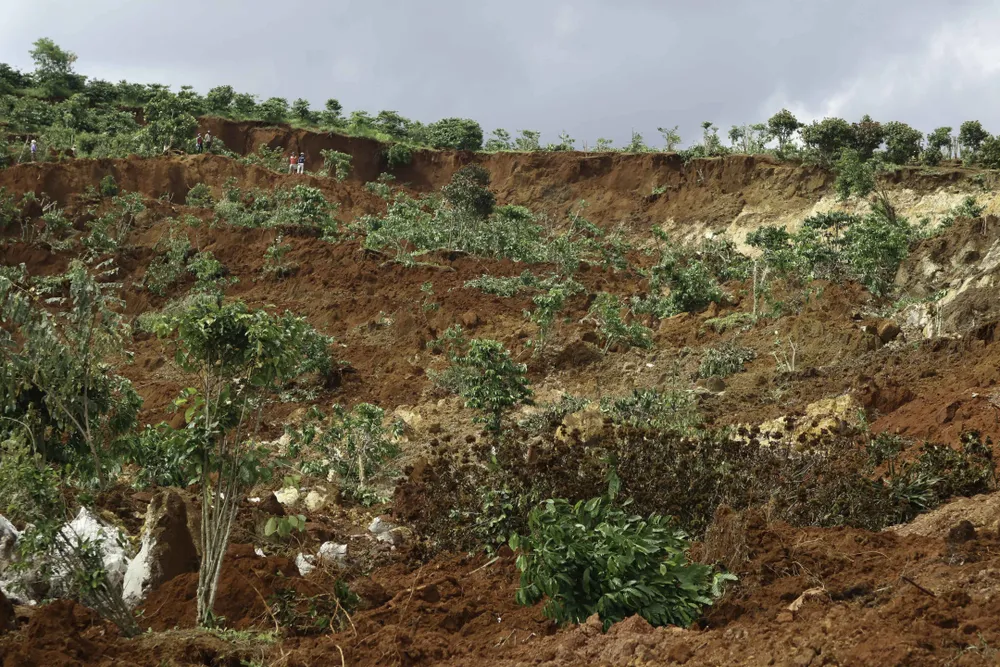 Người dân liều mình vào vùng sạt lở thu hoạch cà phê ảnh 2