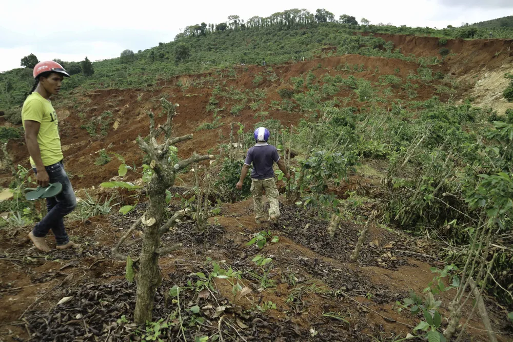 Người dân liều mình vào vùng sạt lở thu hoạch cà phê ảnh 6
