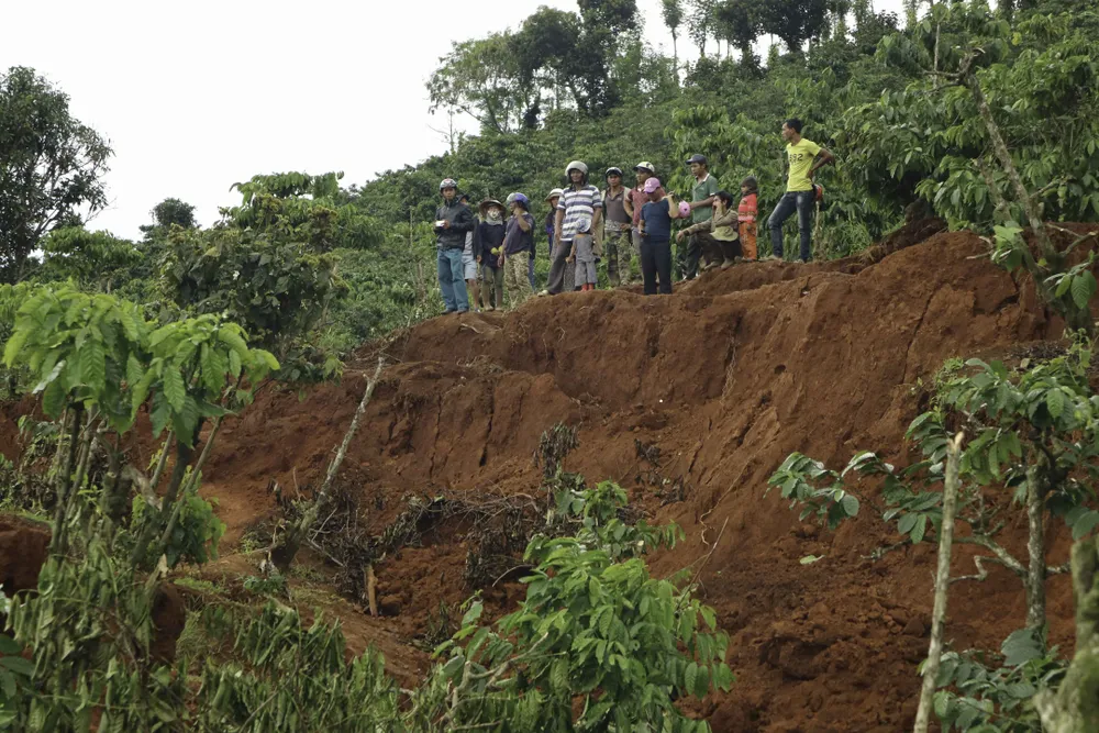 Người dân liều mình vào vùng sạt lở thu hoạch cà phê ảnh 4