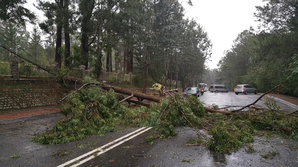 Lâm Đồng: Toàn bộ học sinh được nghỉ học tránh bão ảnh 3