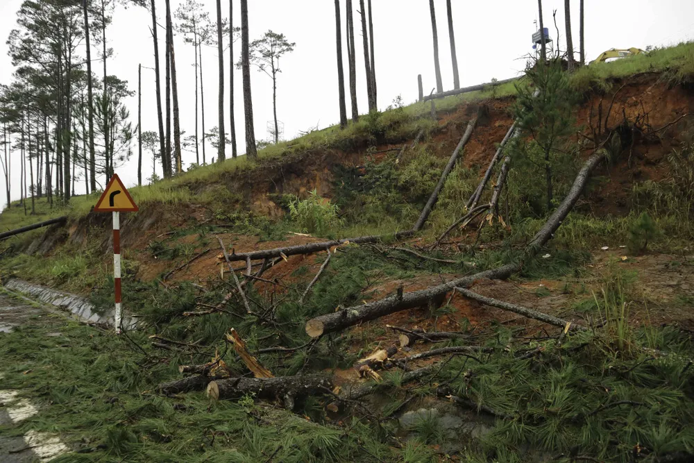 Lâm Đồng: 3 người chết, hàng trăm căn nhà tốc mái do bão ảnh 11