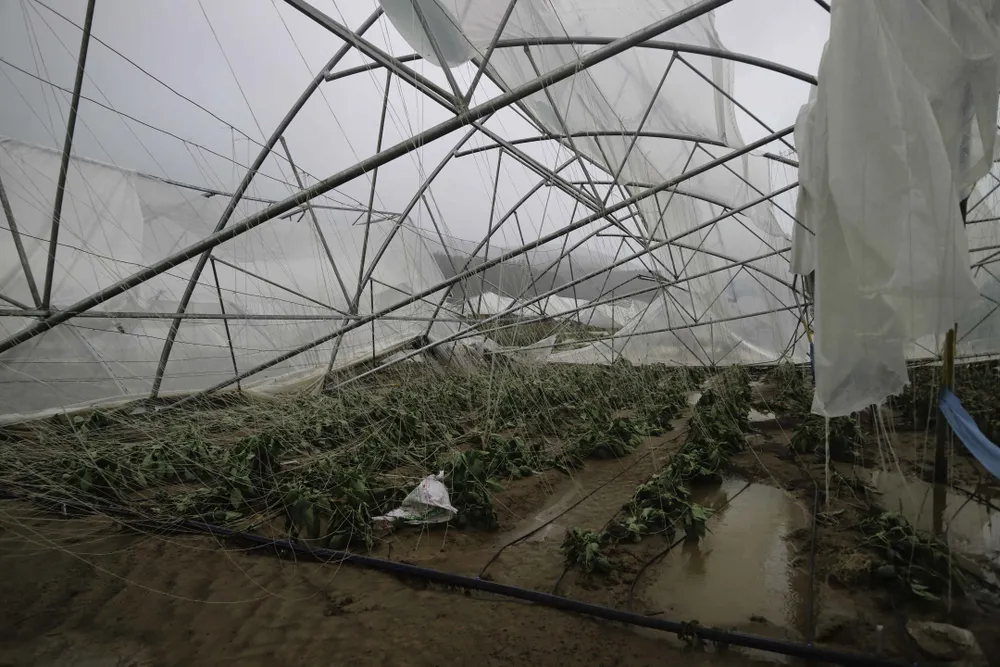 Lâm Đồng: 3 người chết, hàng trăm căn nhà tốc mái do bão ảnh 10