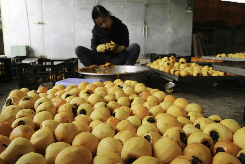 Nghề làm hồng treo đặc sản Đà Lạt ảnh 2