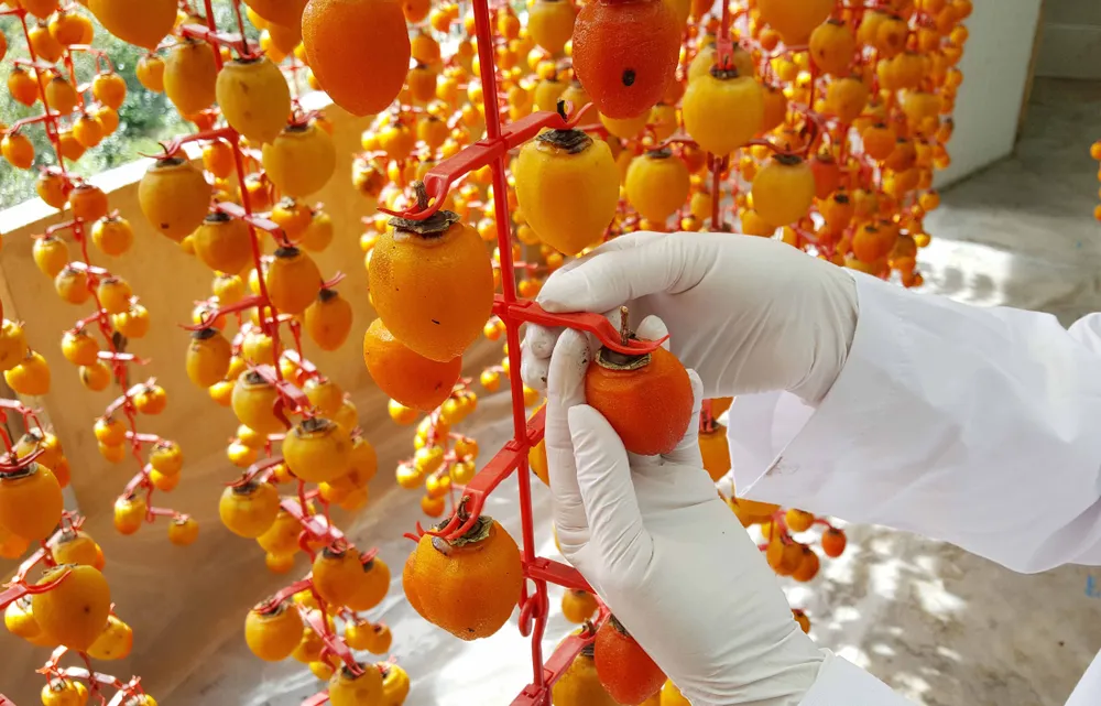 Nghề làm hồng treo đặc sản Đà Lạt ảnh 5