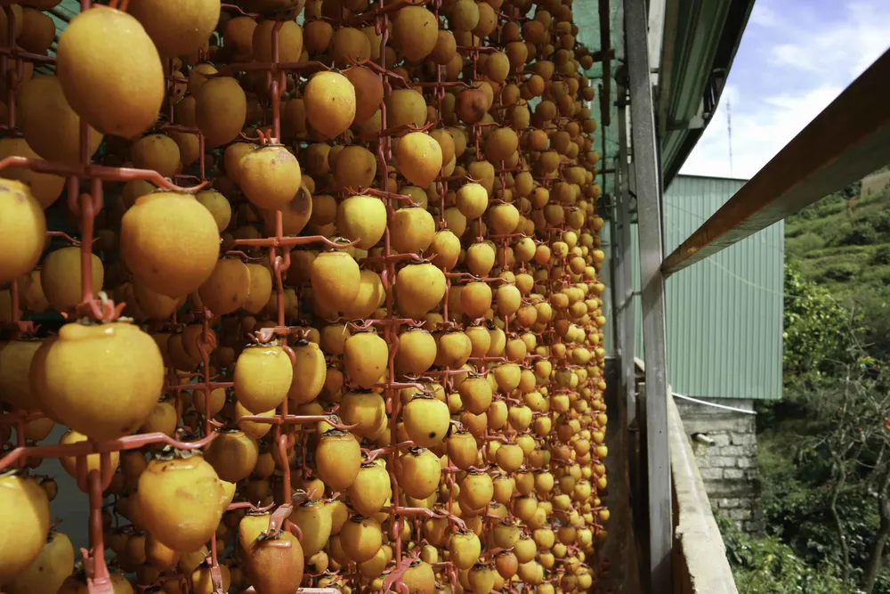 Nghề làm hồng treo đặc sản Đà Lạt ảnh 7