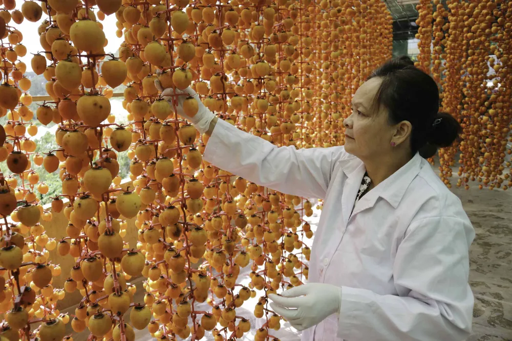 Nghề làm hồng treo đặc sản Đà Lạt ảnh 9