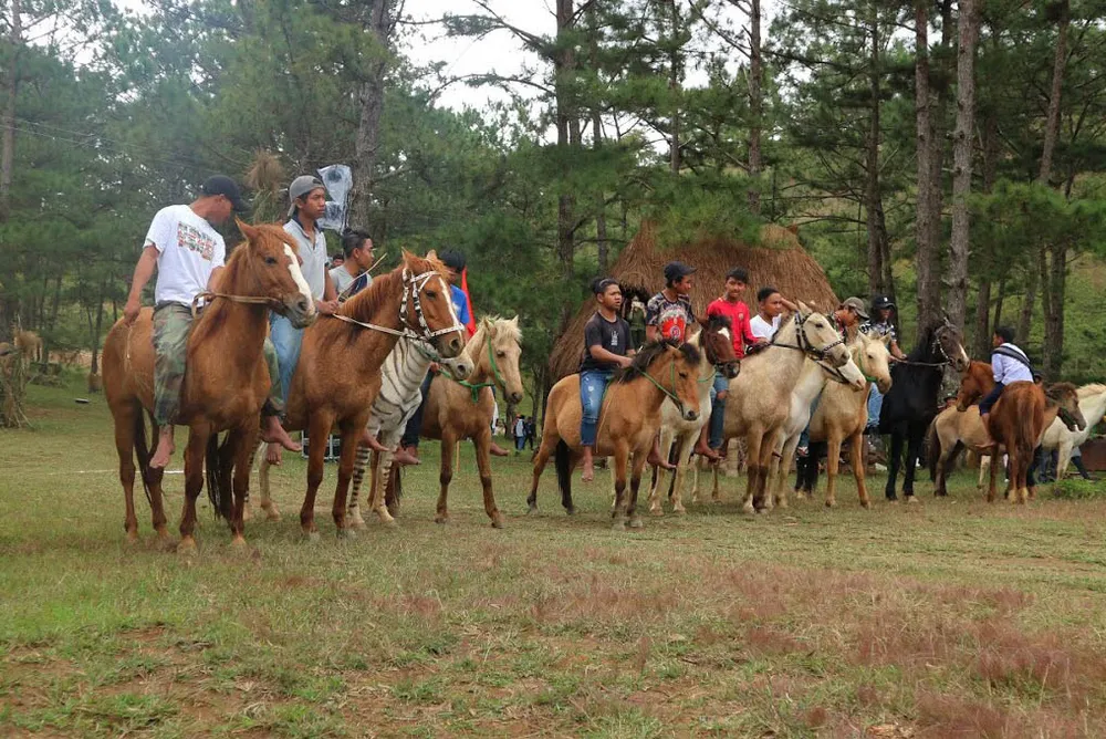 Độc đáo giải đua ngựa không yên ở Đà Lạt ảnh 2