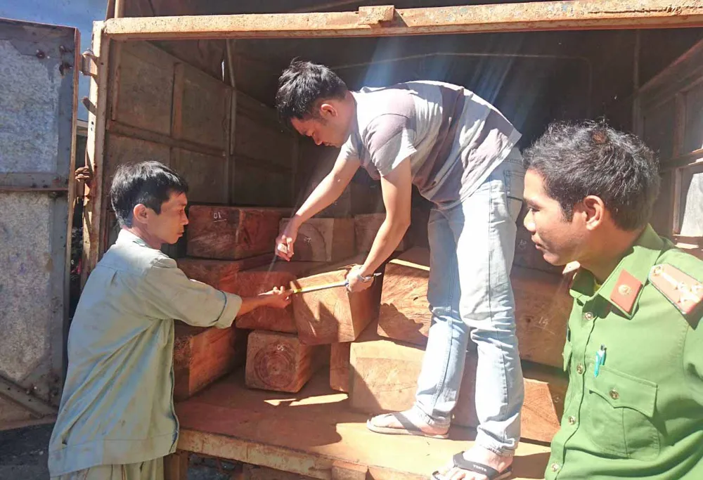 Xe gỗ lậu tăng ga vượt qua chốt cảnh sát  ảnh 1