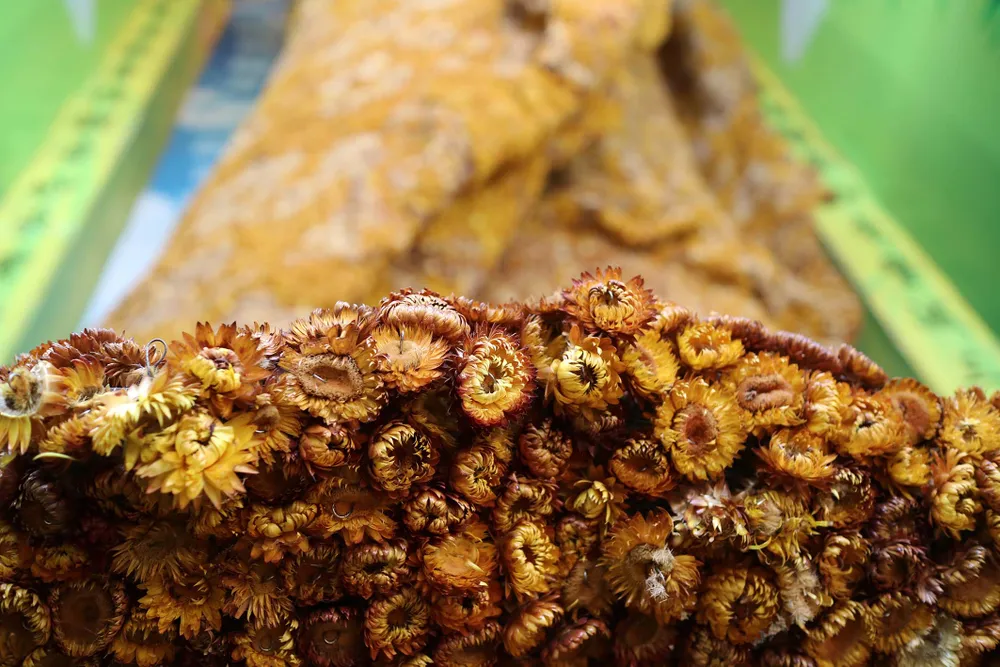 Xác lập kỷ lục Tượng Phật bằng hoa bất tử lớn nhất thế giới ảnh 3