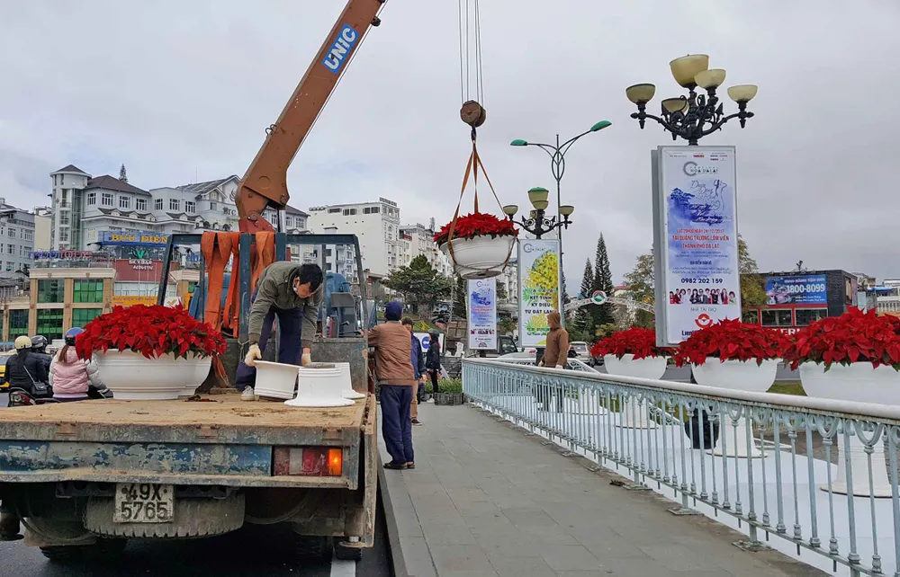 Hoa Đà Lạt tấp nập xuống phố trước thềm lễ hội ảnh 1