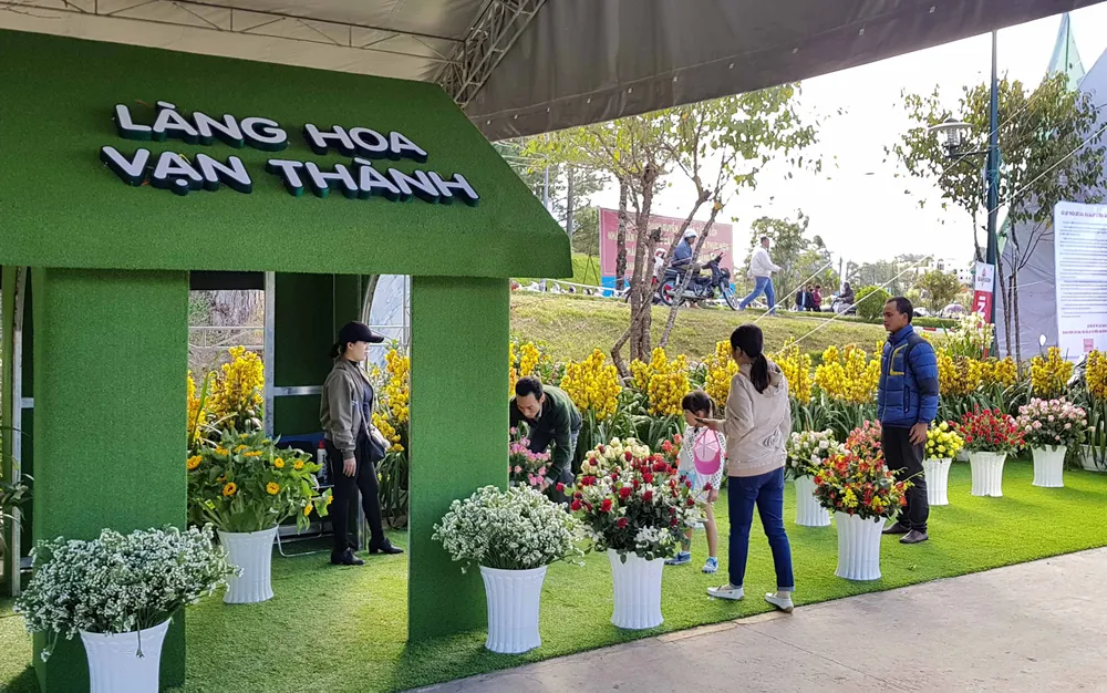 VIDEO: Du khách thăm vườn rau, hoa công nghệ cao giữa phố Đà Lạt ảnh 4